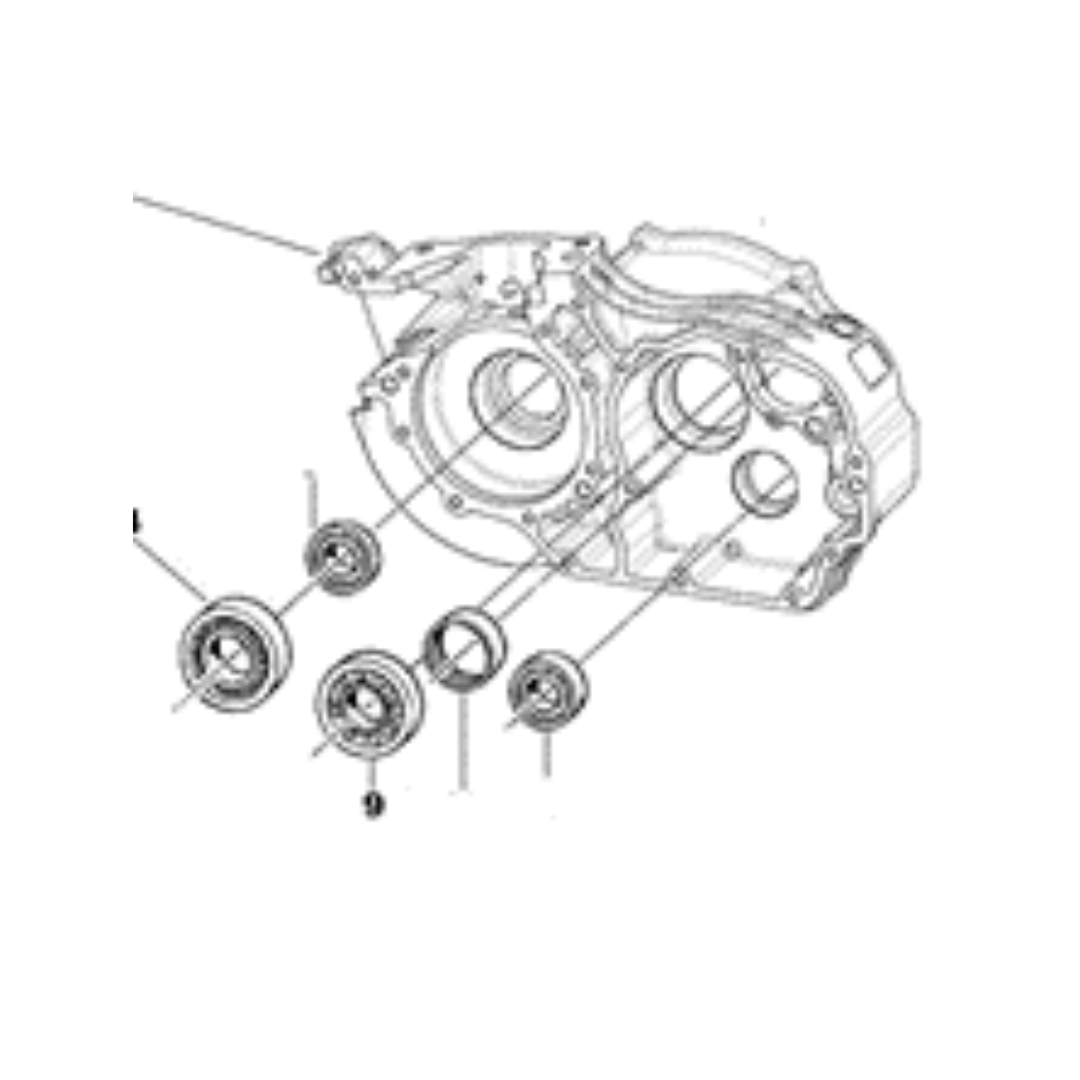 KZ-M1 BALERO 6205 C4