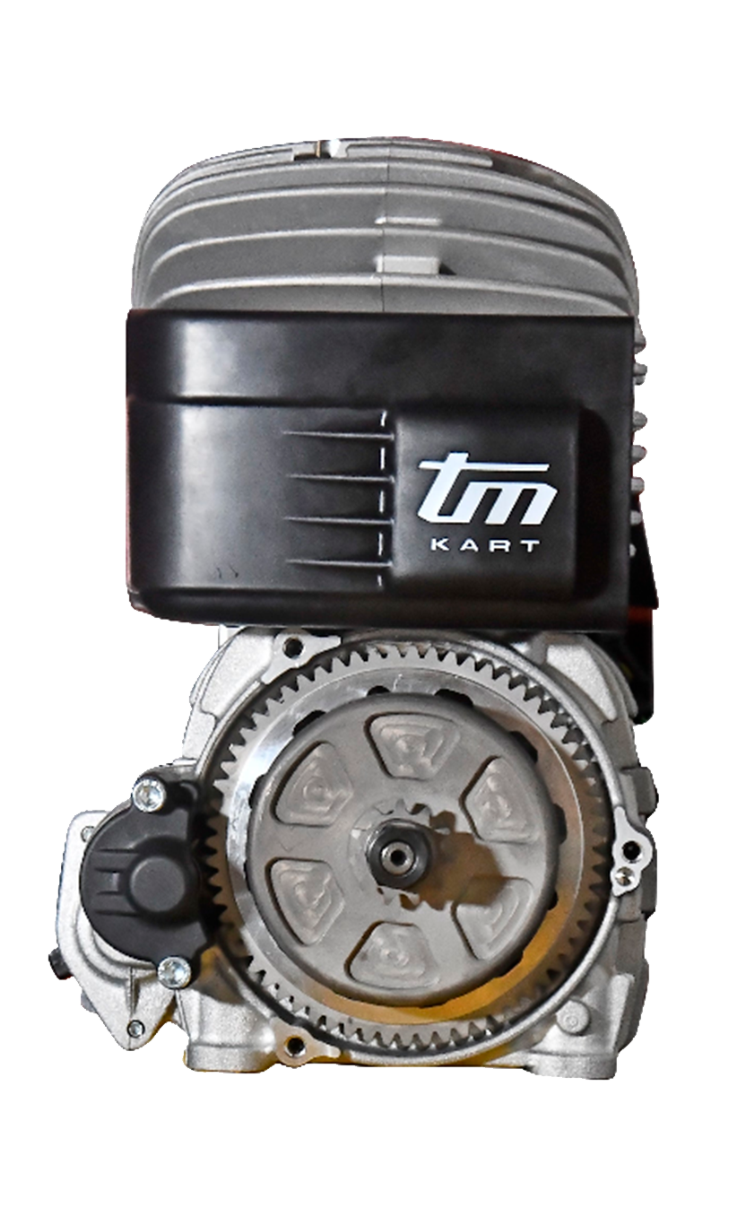 MINI-M1